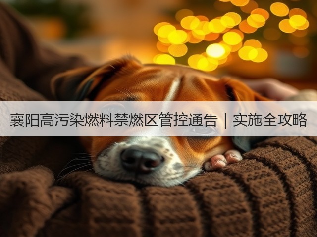 襄阳高污染燃料禁燃区管控通告｜实施全攻略(图3)