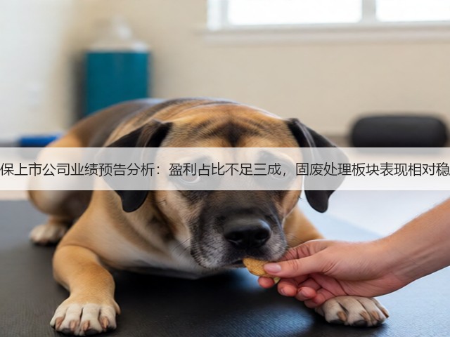 环保上市公司业绩预告分析：盈利占比不足三成，固废处理板块表现相对稳健(图1)