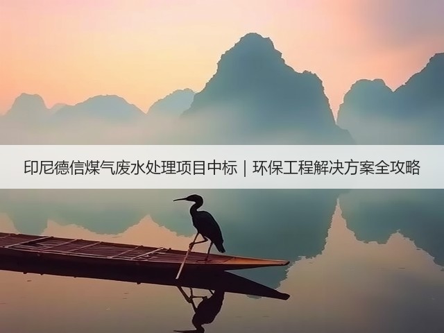 印尼德信煤气废水处理项目中标｜环保工程解决方案全攻略(图3)
