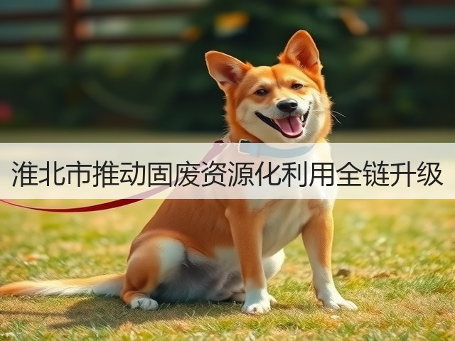 淮北市推动固废资源化利用全链升级(图1)
