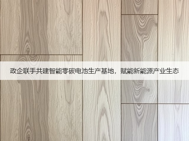 政企联手共建智能零碳电池生产基地，赋能新能源产业生态(图1)