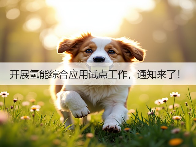 开展氢能综合应用试点工作,通知来了!(图1) 开展氢能综合应用试点工作,通知来了!(图1)