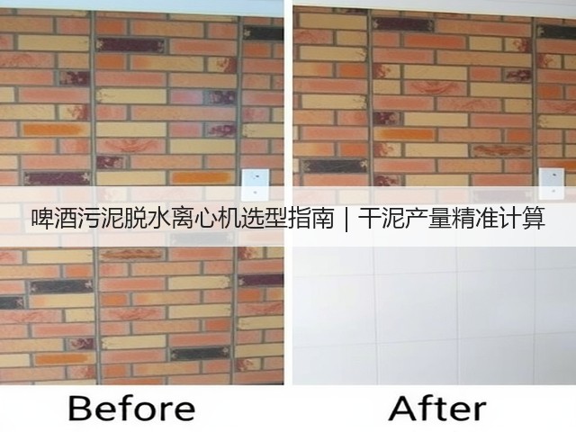 啤酒污泥脱水离心机选型指南｜干泥产量精准计算(图3)