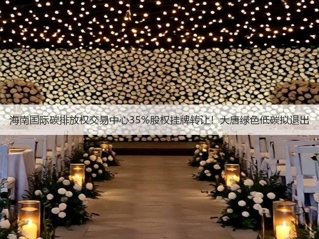 海南国际碳排放权交易中心35%股权挂牌转让！大唐绿色低碳拟退出(图1)