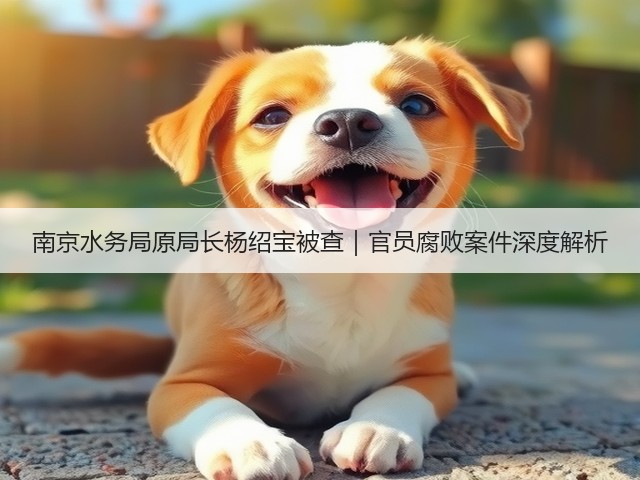 南京水务局原局长杨绍宝被查｜官员腐败案件深度解析(图3)