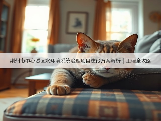 荆州市中心城区水环境系统治理项目建设方案解析｜工程全攻略(图1)