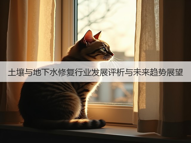 土壤与地下水修复行业发展评析与未来趋势展望(图3)