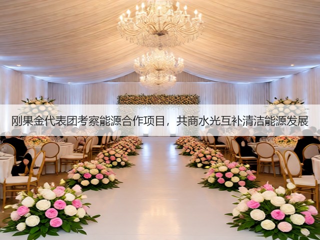 刚果金代表团考察能源合作项目，共商水光互补清洁能源发展(图1)
