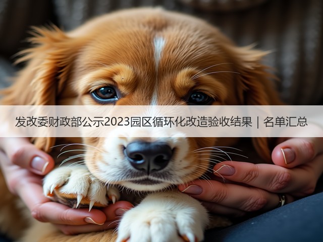 发改委财政部公示2023园区循环化改造验收结果｜名单汇总(图3)