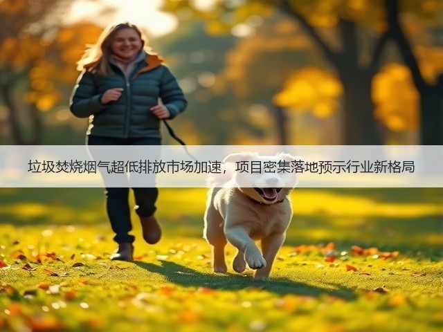 垃圾焚烧烟气超低排放市场加速，项目密集落地预示行业新格局(图3)