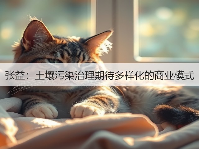 张益：土壤污染治理期待多样化的商业模式(图3)
