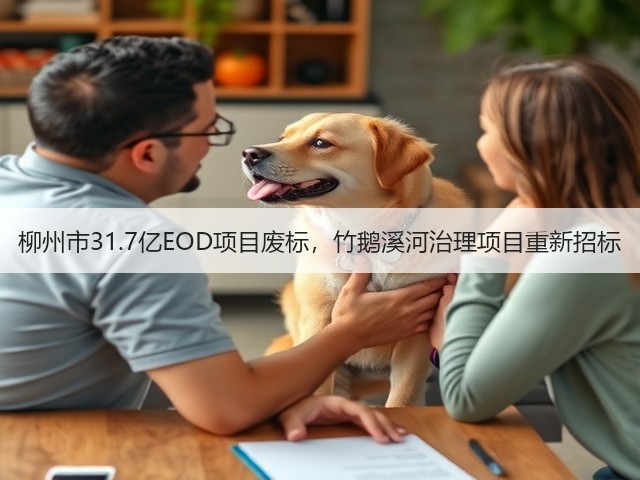 柳州市31.7亿EOD项目废标，竹鹅溪河治理项目重新招标(图1)