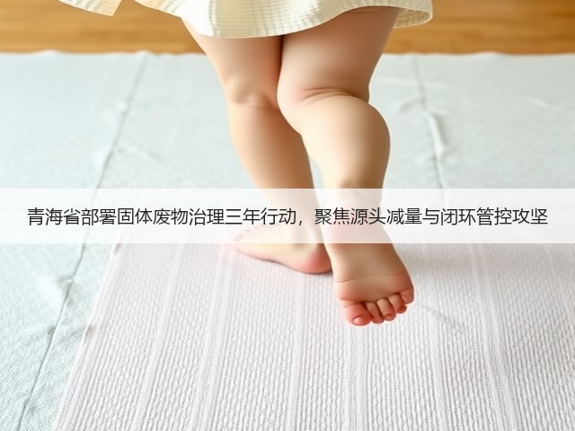 青海省部署固体废物治理三年行动，聚焦源头减量与闭环管控攻坚(图3)