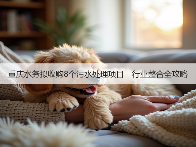 重庆水务拟收购8个污水处理项目｜行业整合全攻略(图3)