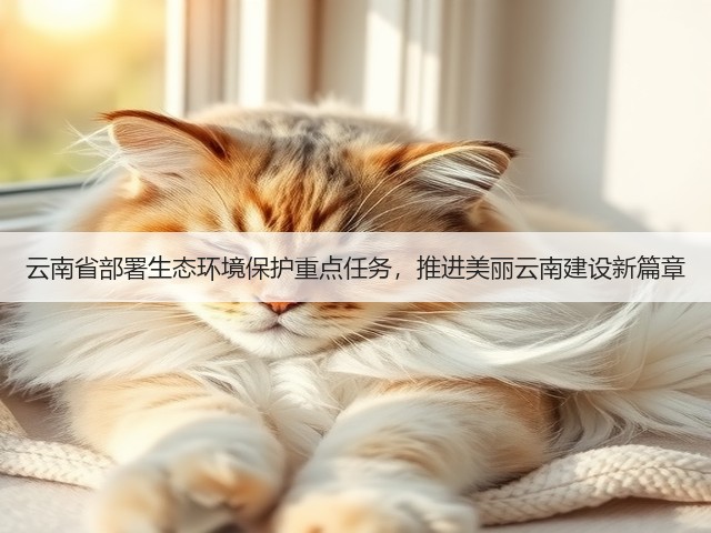 云南省部署生态环境保护重点任务，推进美丽云南建设新篇章(图2)