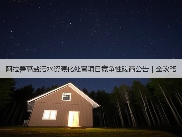 阿拉善高盐污水资源化处置项目竞争性磋商公告｜全攻略(图1)