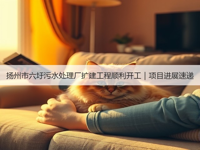 扬州市六圩污水处理厂扩建工程顺利开工｜项目进展速递(图1)