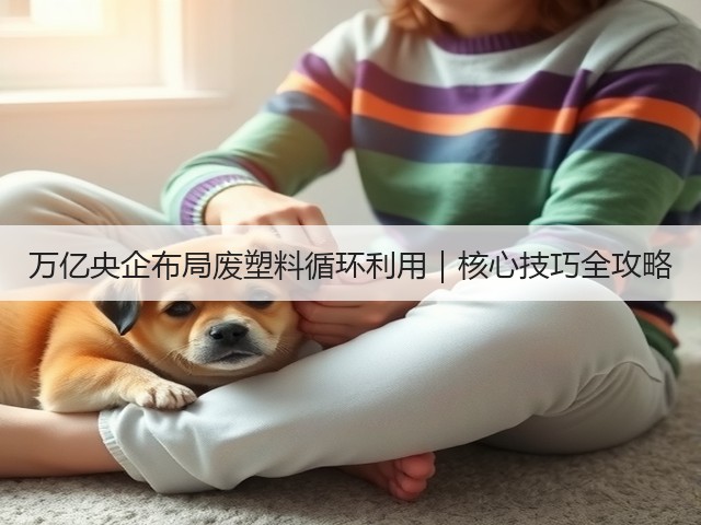 万亿央企布局废塑料循环利用｜核心技巧全攻略(图3)