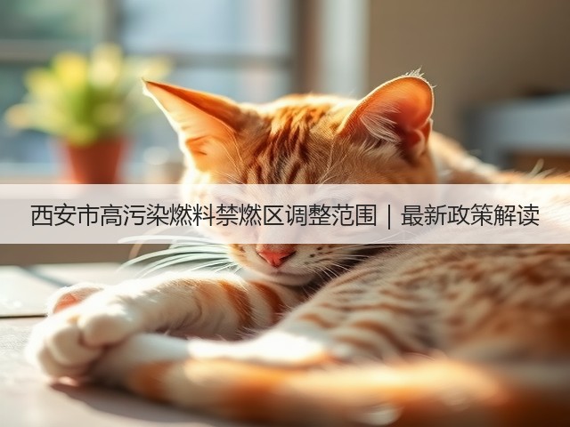 西安市高污染燃料禁燃区调整范围｜最新政策解读(图3)