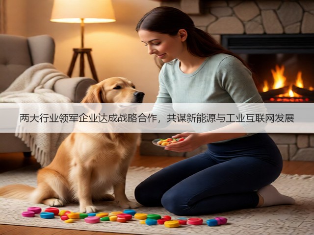 两大行业领军企业达成战略合作，共谋新能源与工业互联网发展(图3)