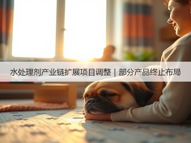 水处理剂产业链扩展项目调整｜部分产品终止布局(图1)