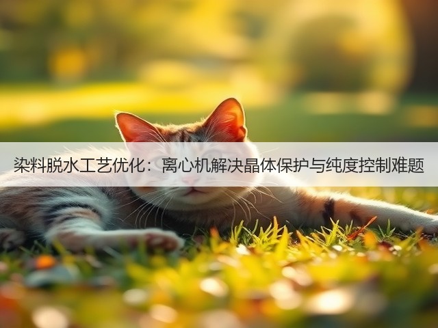 染料脱水工艺优化:离心机解决晶体保护与纯度控制难题(图1) 染料脱水工艺优化:离心机解决晶体保护与纯度控制难题(图1)