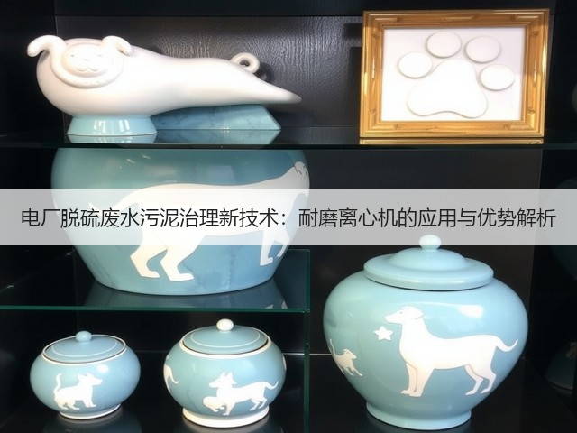 电厂脱硫废水污泥治理新技术：耐磨离心机的应用与优势解析(图3)