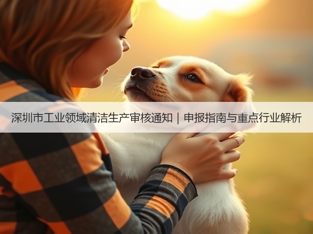 深圳市工业领域清洁生产审核通知｜申报指南与重点行业解析(图1)