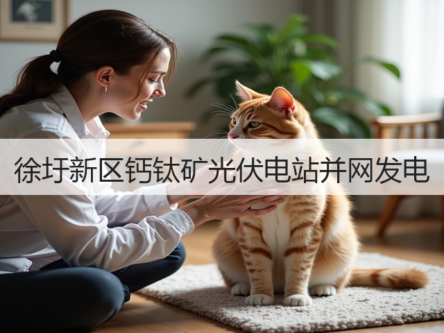 徐圩新区钙钛矿光伏电站并网发电(图3)
