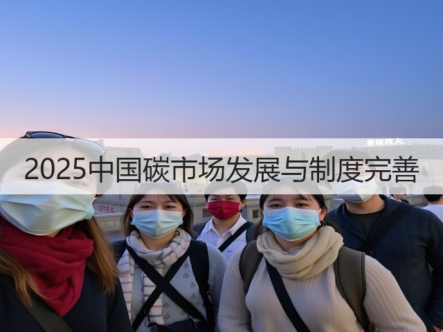 2025中国碳市场发展与制度完善(图2) 2025中国碳市场发展与制度完善(图2)