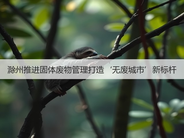 滁州推进固体废物管理打造‘无废城市’新标杆(图3)