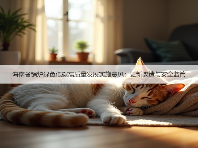 海南省锅炉绿色低碳高质量发展实施意见：更新改造与安全监管(图3)
