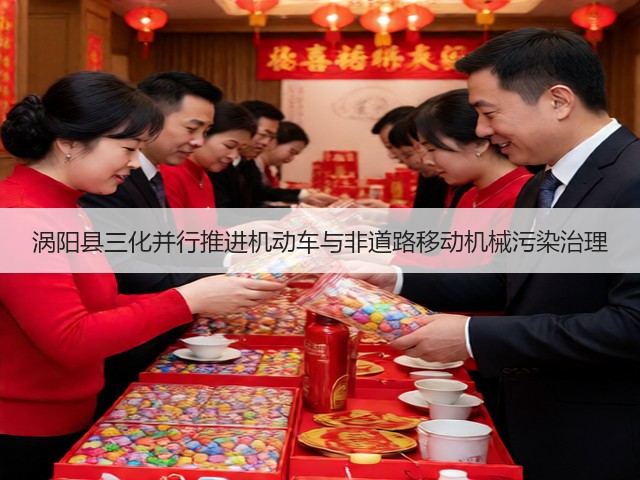 涡阳县三化并行推进机动车与非道路移动机械污染治理(图1)