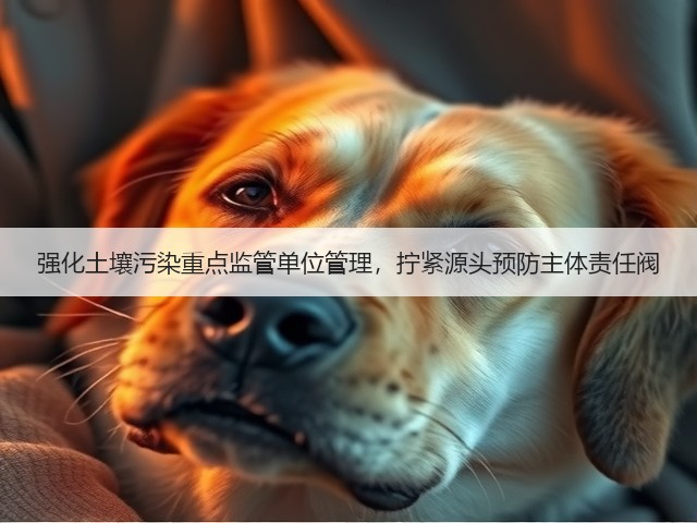 强化土壤污染重点监管单位管理，拧紧源头预防主体责任阀(图1)