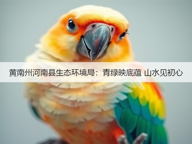 黄南州河南县生态环境局：青绿映底蕴 山水见初心(图3)