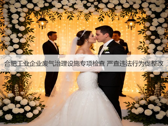 合肥工业企业废气治理设施专项检查 严查违法行为促整改(图3) 合肥工业企业废气治理设施专项检查 严查违法行为促整改(图3)