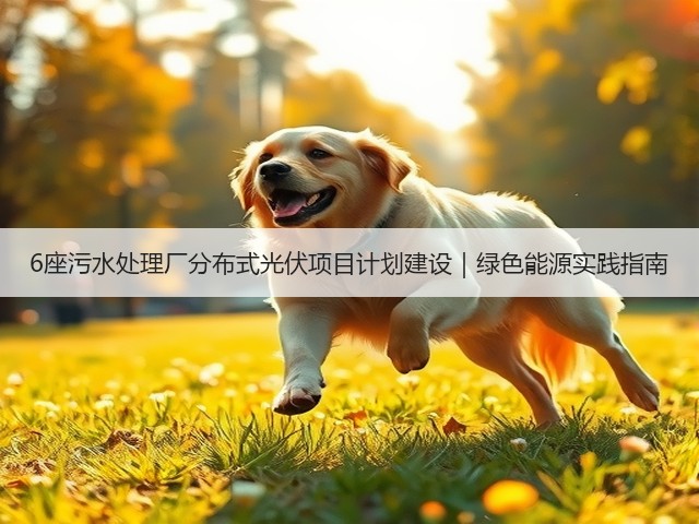 6座污水处理厂分布式光伏项目计划建设｜绿色能源实践指南(图3)