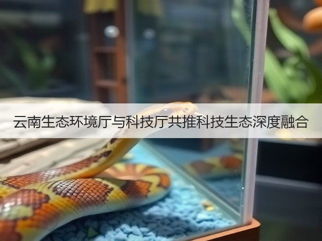云南生态环境厅与科技厅共推科技生态深度融合(图3)