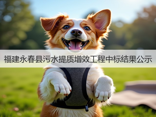 福建永春县污水提质增效工程中标结果公示(图1)