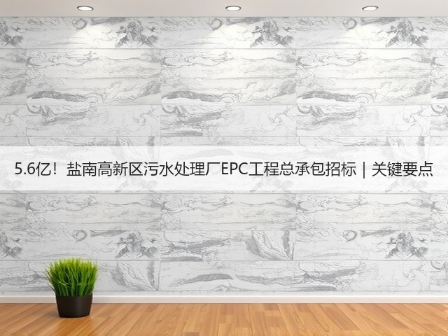 5.6亿！盐南高新区污水处理厂EPC工程总承包招标｜关键要点(图3)