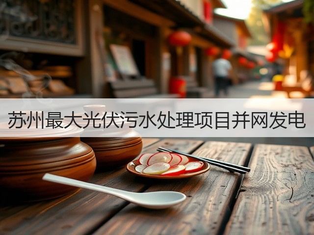 苏州最大光伏污水处理项目并网发电(图3)
