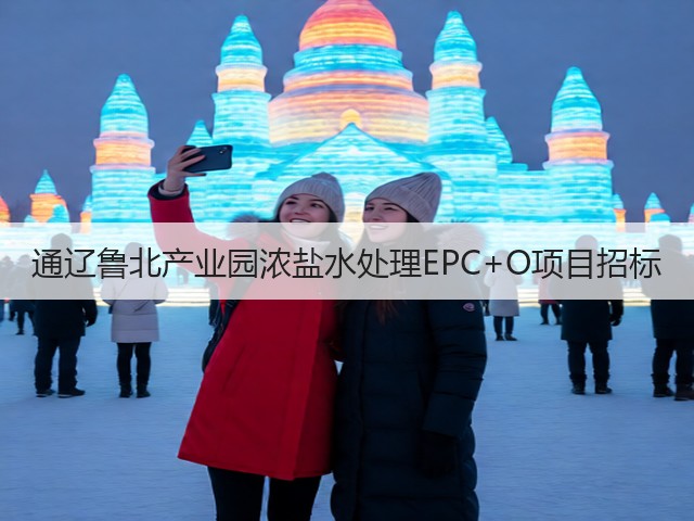 通辽鲁北产业园浓盐水处理EPC+O项目招标(图1)