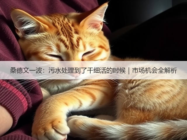 桑德文一波：污水处理到了干细活的时候｜市场机会全解析(图1)