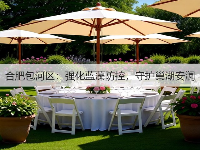 合肥包河区:强化蓝藻防控,守护巢湖安澜(图3) 合肥包河区:强化蓝藻防控,守护巢湖安澜(图3)