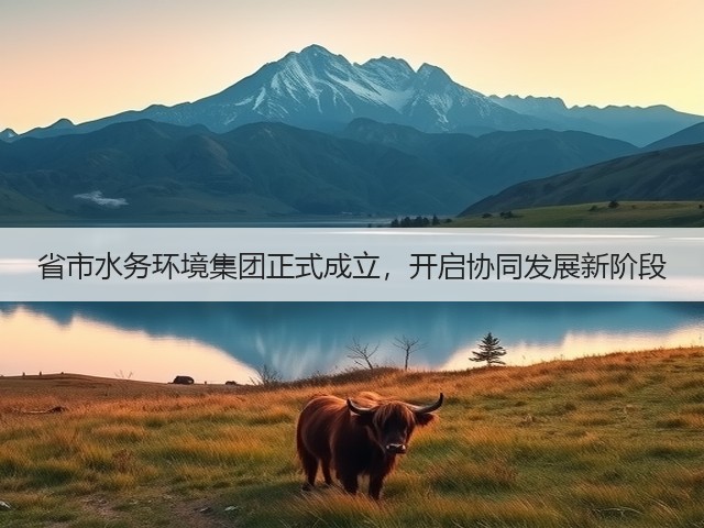 省市水务环境集团正式成立，开启协同发展新阶段(图1)