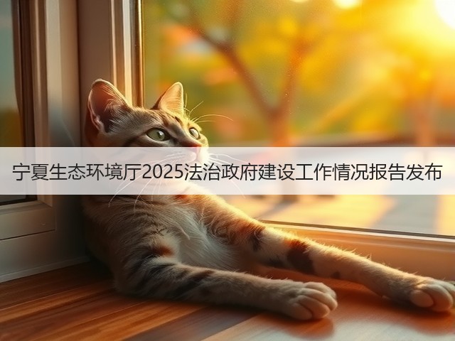 宁夏生态环境厅2025法治政府建设工作情况报告发布(图1)