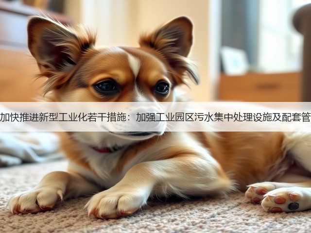银川市加快推进新型工业化若干措施：加强工业园区污水集中处理设施及配套管网建设(图3)