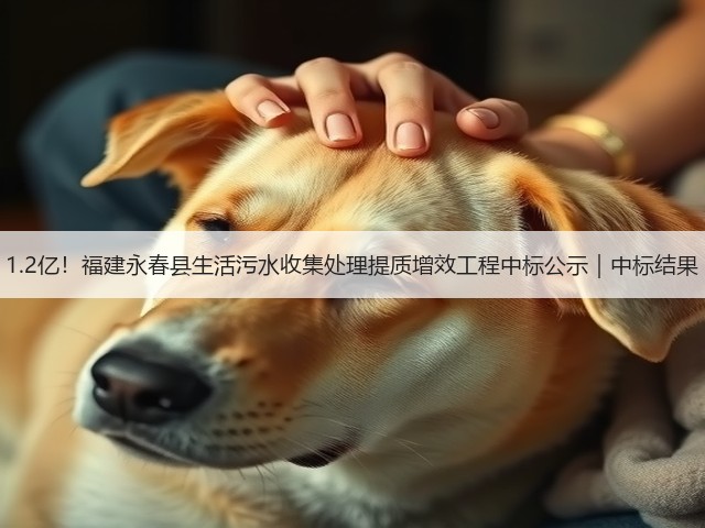 1.2亿！福建永春县生活污水收集处理提质增效工程中标公示｜中标结果(图3)