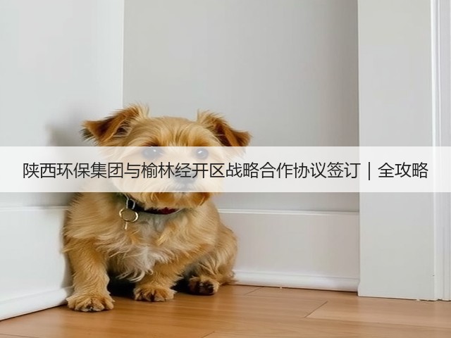 陕西环保集团与榆林经开区战略合作协议签订｜全攻略(图3)