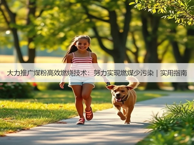 大力推广煤粉高效燃烧技术：努力实现燃煤少污染｜实用指南(图3)